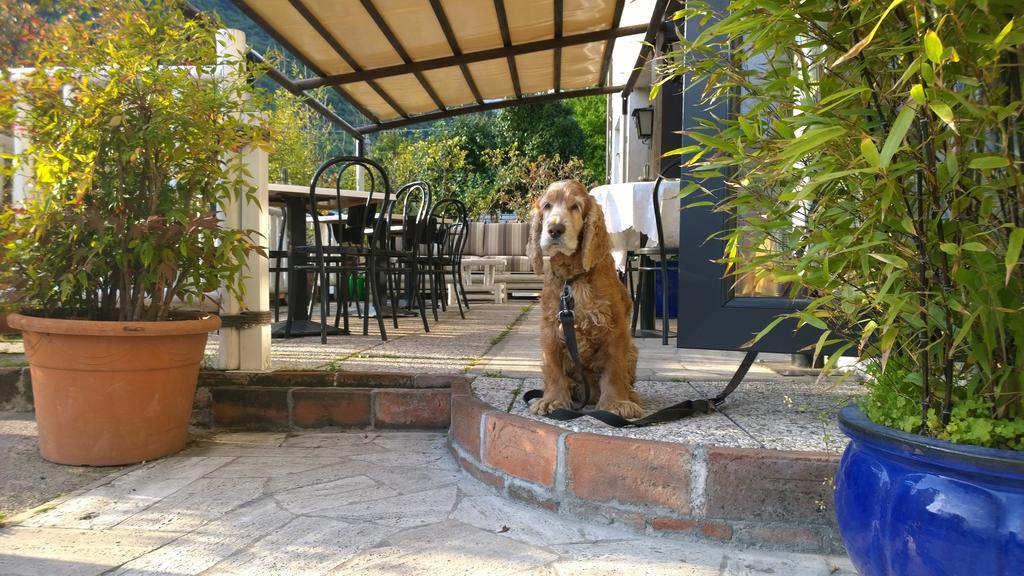 Hotel Cubamia Romano D'Ezzelino Kültér fotó